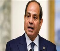 الرئيس السيسي يدعو لتكاتف أطراف منظومة الشحن البحري لاستقرار سلاسل الإمداد
