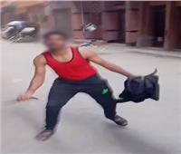 ضبط بائع فاكهة لاتهامه بالتعدي على شقيقه بسلاح أبيض في مشاجرة بالغربية