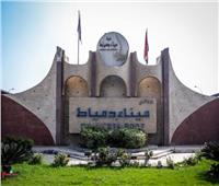ميناء دمياط يستقبل السفينة ULTRAMED في أول عملية ترانزيت مباشر 