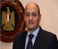 الكهرباء: 35 مليار جنيه لتوفير الطاقة لمشروعات «الدلتا الجديدة»