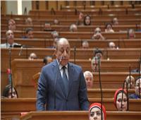 "دفاع النواب" أمام عقيلة صالح: فرصتنا الوحيدة لمواجهة التحديات الإيمان بالمصير المشترك