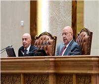 بحضور رئيس النواب الليبي.. برلمانية الوفد تطالب بإحياء مبادرة الدفاع العربي المشترك