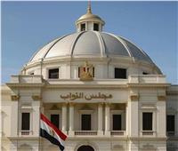 العجوز: العامل المصري هو الركيزة الأساسية لدفع عجلة الاقتصاد