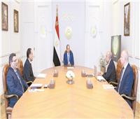 السيسى يوجه بالإسراع فى مشروعات الطاقة المتجددة وربطها بالشبكة القومية