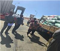 محافظ الوادي الجديد: توريد 407 آلاف طن قمح وانتظام أعمال الاستلام بالصوامع ومراكز التجميع