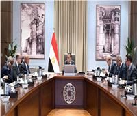 الحكومة: مجموعة عمل مشتركة لتعزيز الربط والتبادل التجاري مع الدول الإفريقية
