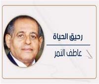    معلش يا «صاصا»