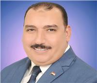 الدكتور جمال عبد المطلب جبر نقيبًا للمهن الاجتماعية ببني سويف