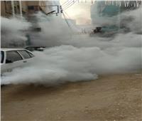 وكيل صحة الغربية: تنظيم حملات مكافحة الناموس والبعوض  بشوارع بمدينة طنطا 