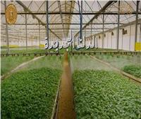 الدلتا الجديدة مصر تبنى المستقبل رغم التحديات