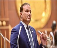 برلماني: التحول الرقمي لم يعد رفاهية بل ضرورة لإنقاذ بيئة الاستثمار