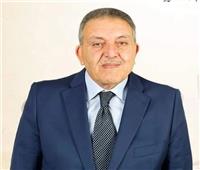 الوكيل: مصر بوابة استثمارية وتجارية لـ 4.5 مليار مستهلك.. وشراكات جديدة مع الصين