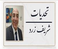 ​شريف زرد يكتب: خطة إنقاذ الصحافة القومية تدخل حيز التنفيذ
