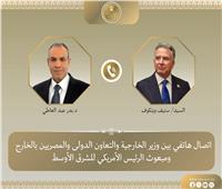     وزير الخارجية يبحث مع المبعوث الأمريكي الخاص للشرق الأوسط التطورات الإقليمية 