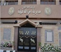 بالأسماء | إصابة 10 عاملات زراعيات في انقلاب تروسيكل على طريق جمصة بالدقهلية