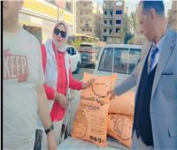 ضبط  نصف طن أسمدة زراعية محظور تداولها وبيعها بدمياط 