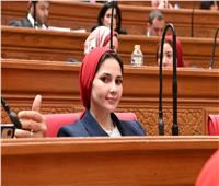 اقتراح برغبة بشأن إعادة تأهيل طريق أبشواي النزلة في الفيوم 