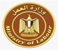 وزارة العمل تعلن عن توفير 45 فرصة عمل جديدة للشباب 