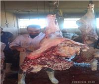 محافظ أسيوط: 327 ذبيحة بالمجازر الحكومية 