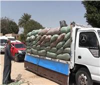 طفرة قياسية في توريد القمح واستقبال 170 ألف طن بصوامع سوهاج