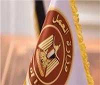300 فرصة جديدة لجميع المؤهلات بالإسماعيلية.. اعرف الشروط وطريقة التقديم