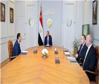 الرئيس السيسي يبحث مع مدبولي جهود تطوير منظومة التعليم العالي والبحث العلمي
