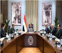 رئيس الوزراء يبحث مقترح إنشاء مركز توزيع لوجيستي عالمي بـ "اقتصادية قناة السويس"