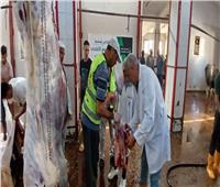 بيطري البحيرة: ذبح أكثر من 4500 أضحية بالمجازر الحكومية خلال عيد الأضحى المبارك