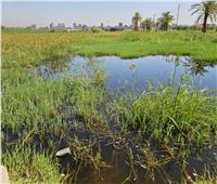 محافظ قنا: تسجيل أعلى منسوب لمياه النيل والأضرار لا تتجاوز 6 أفدنة بطرح النهر