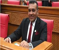 برلماني: توجيهات الرئيس السيسي تحفز التنمية الإقتصادية ومواكبة سوق العمل