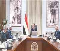 مدبولى: لدينا صروح كبرى لتوطين صناعة الدواء