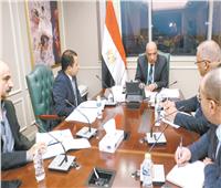 تكليفات رئاسية لتنفيذ مشروعات الطاقة النظيفة بـ«الجنيه»