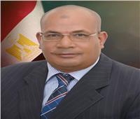 تكليف عبدالعزيز بلال بتسيير أعمال رئيس «القومية للاستشعار من البعد وعلوم الفضاء»