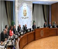 ترقيات لموظفي الحكومة المستوفين للشروط.. وبدء التطبيق يوليو 2026