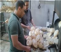 ضبط ربع طن دقيق بلدي مدعم قبل تهريبه للسوق السوداء بالقليوبية