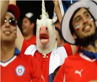 كأس العالم لكرة القدم.. أكثر المشجعين جنونًا وغرابةً