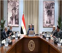 رئيس الوزراء يتابع جهود تنفيذ خطة إعادة هيكلة وحوكمة الشركات المملوكة للدولة