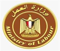 «العمل» تحذر الراغبين في العمل بالخارج من إعلانات التوظيف الوهمية
