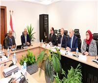 وزيرا الري والكهرباء يبحثان التوسع في استخدام الطاقة الشمسية 
