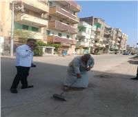 رئيس مركز ومدينة زفتى يقود ورشة عمل للنظافة والتجميل بمشاركة الوحدات المحلية