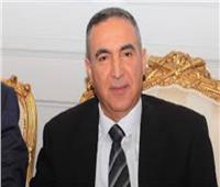 عددهم 3 ملايين.. الأقنص: تكلفة التعامل مع الكلاب الضالة 2.15 مليار جنيه