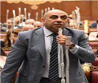 عضو بالشيوخ: الرئيس السيسي يفتح آفاقًا جديدة للتعاون المصري الكونغولي