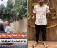ضبط حارس عقار بعد ظهوره في فيديو التعدي على كلاب ضالة بالقاهرة