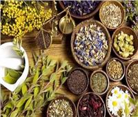من الغذاء إلى الدواء.. علماء يطورون «صيدليات نباتية» تنقذ حياة رواد الفضاء 