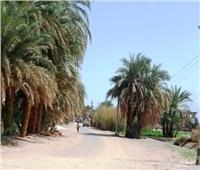 محافظ أسوان يحيل واقعة إتلاف خطى مياه بكوم أمبو للنيابة العامة