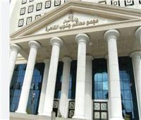 «مداهم» يطعن على حكم حبسه 3 أشهر بتهمة نشر فيديوهات خادشة