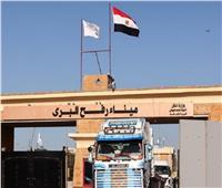 مصر تواصل تقديم المساعدات الإنسانية للأشقاء الفلسطينيين في قطاع غزة