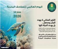 وزيرة التنمية المحلية: حماية السلاحف البحرية استثمار في صحة النظم البيئية 