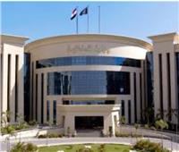 ضبط مصنع مستحضرات تجميل غير مرخص بالإسكندرية وتحريز أطنان خامات مجهولة