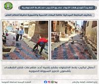 محافظ المنوفية يتابع أعمال الرصف والتطوير بطريق 21 بأشمون 